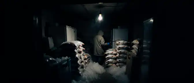 Рыбный бизнес «на коленке»: на Камчатке ликвидировали масштабную сеть по продаже контрафакта