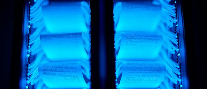 Своеобразный диалект нейросетей: исследователи обнаружили у ИИ уникальный способ коммуникации